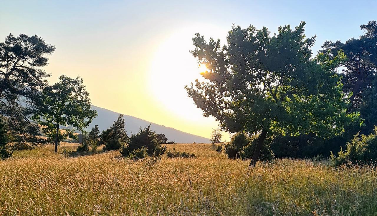 Friedliche Natur - Ein Ort der Ruhe und Besinnung